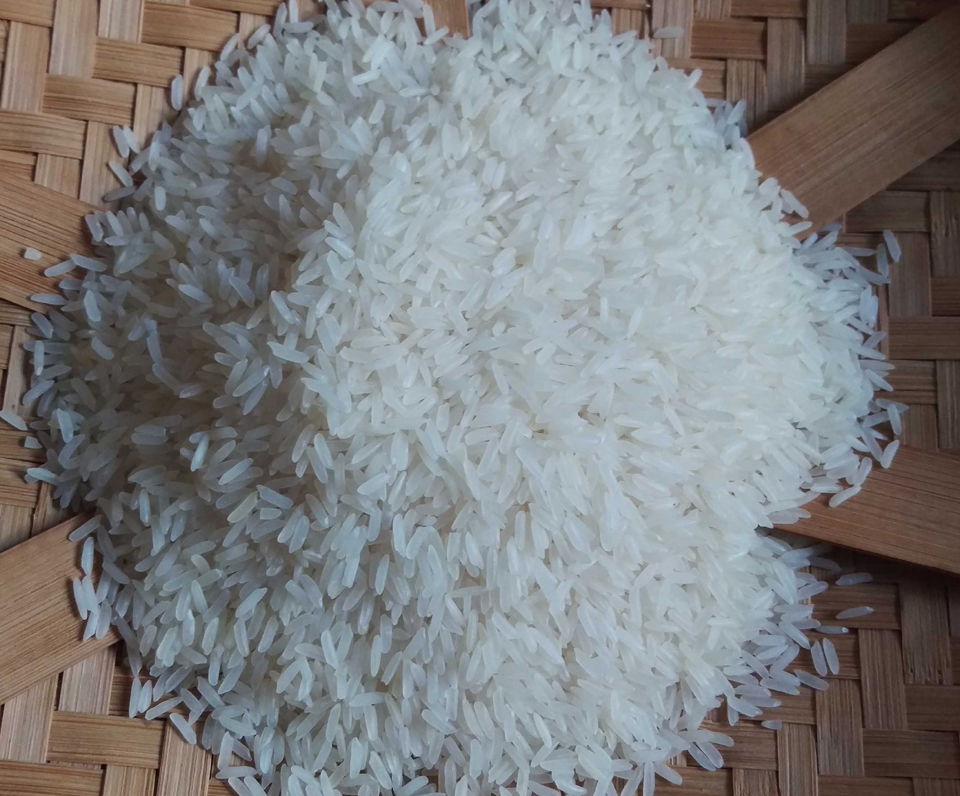 Rice has been cultivated in southern Asia for over ten thousand years